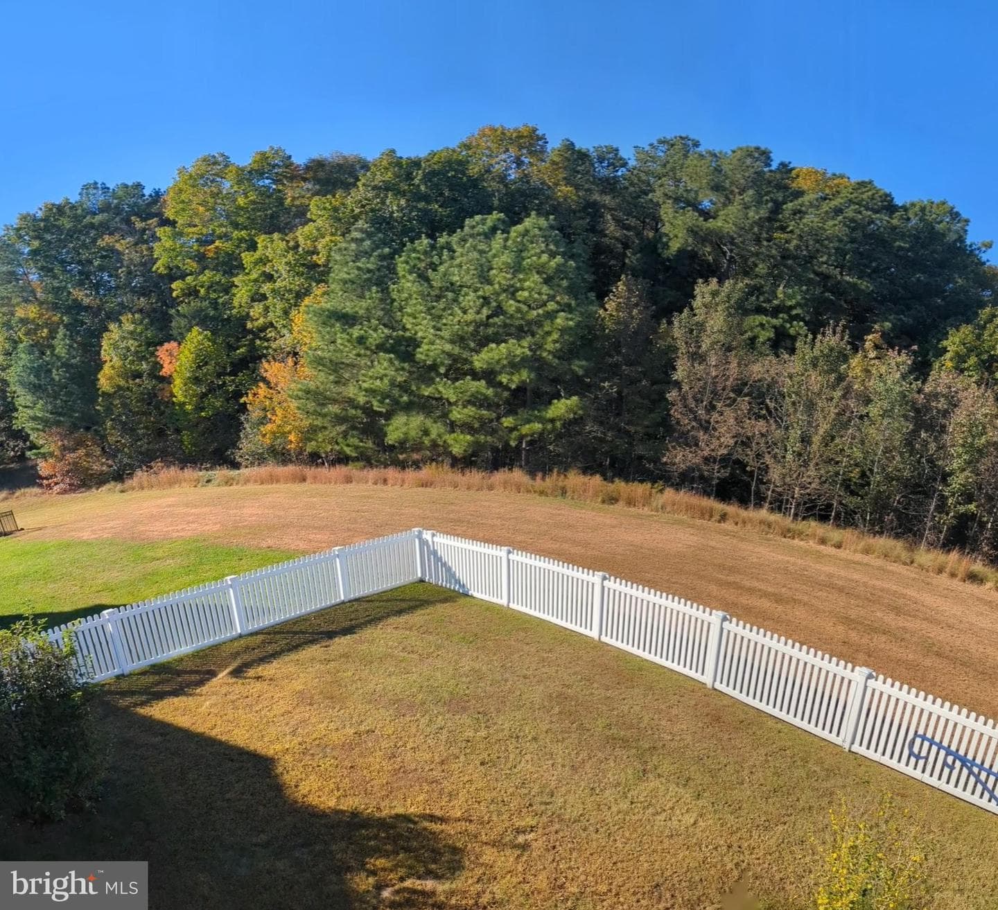 9754 Big Bethel Circle photo 3