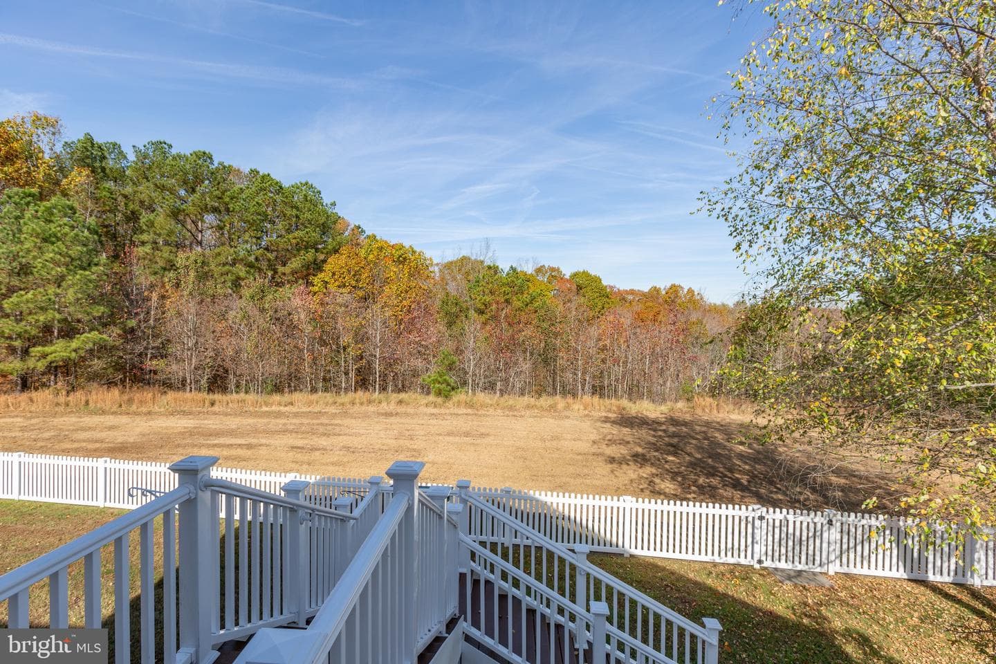 9754 Big Bethel Circle photo 4