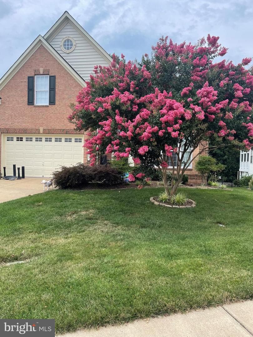 5931 W Carnifex Ferry Road W photo 60
