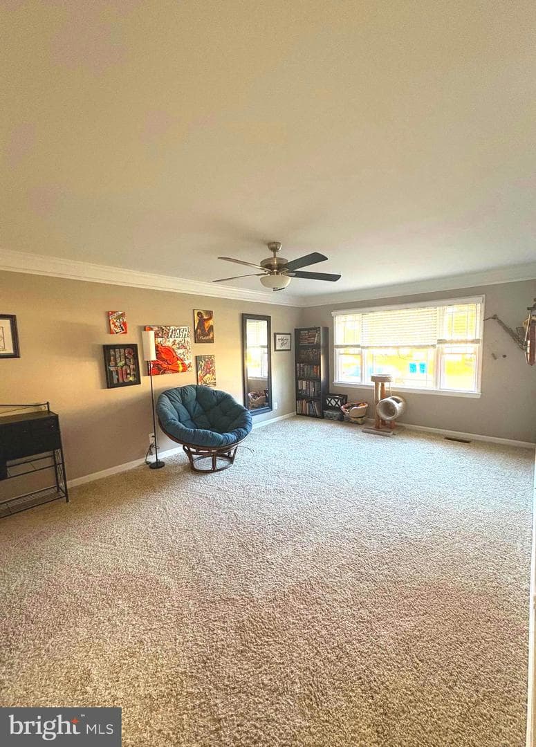 5063 Lavelle Drive photo 7