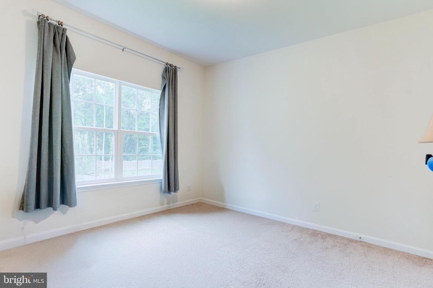 9409 Everette Court photo 43