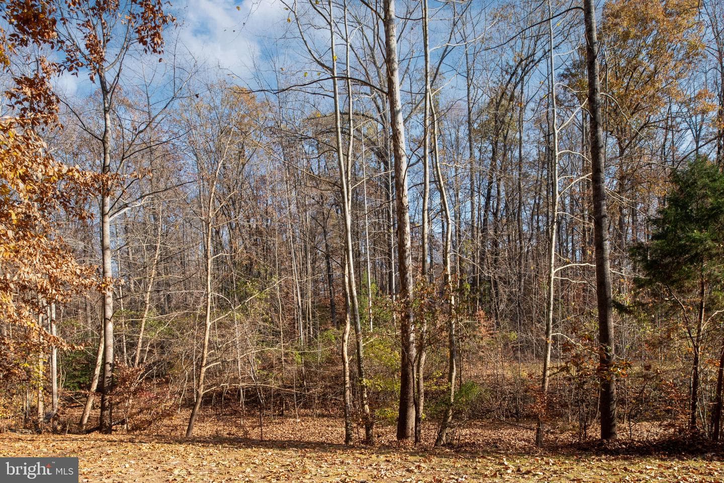 9011 Isle Of Laurels photo 45