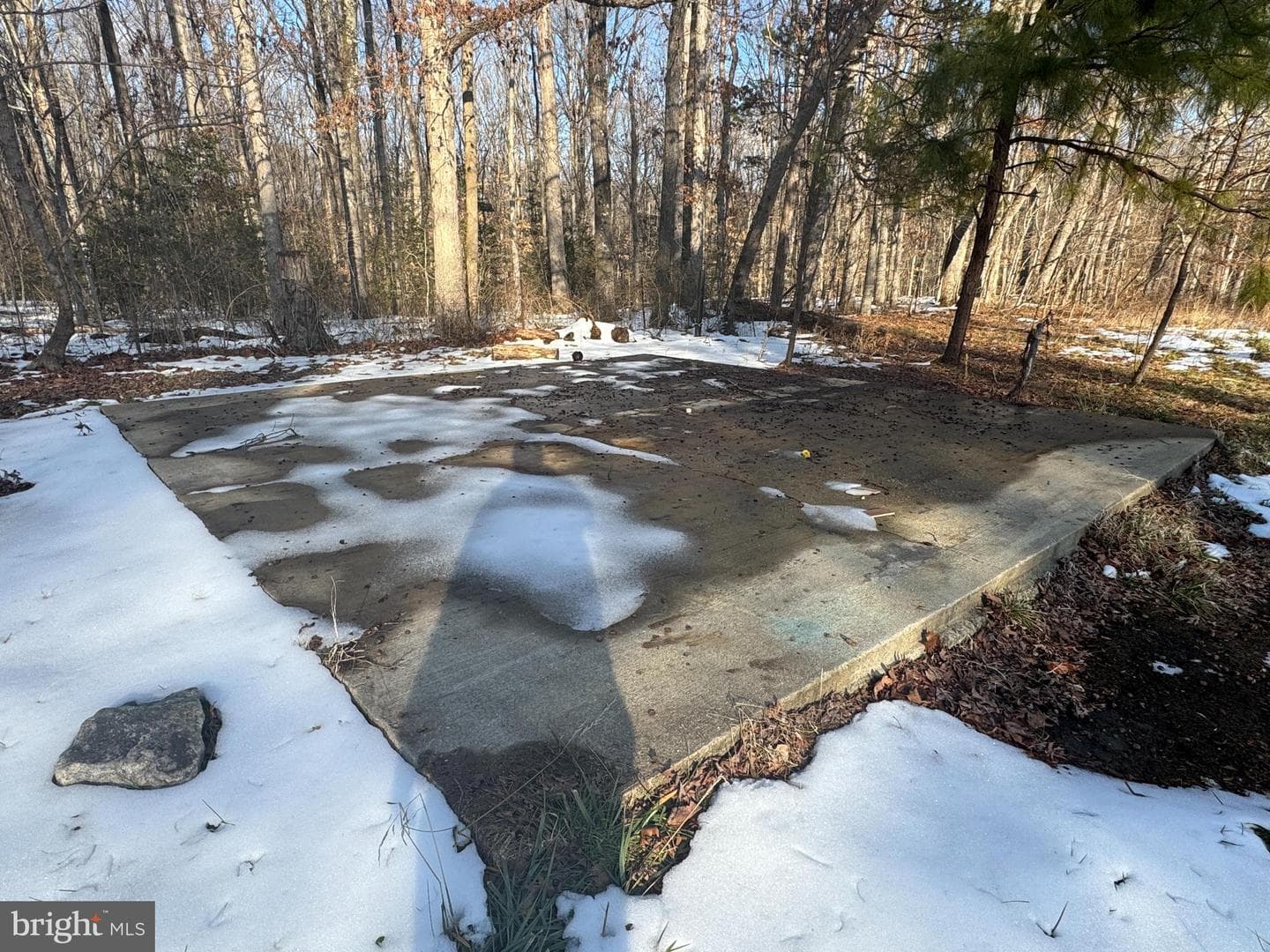 9825 Mill Pond Road photo 30