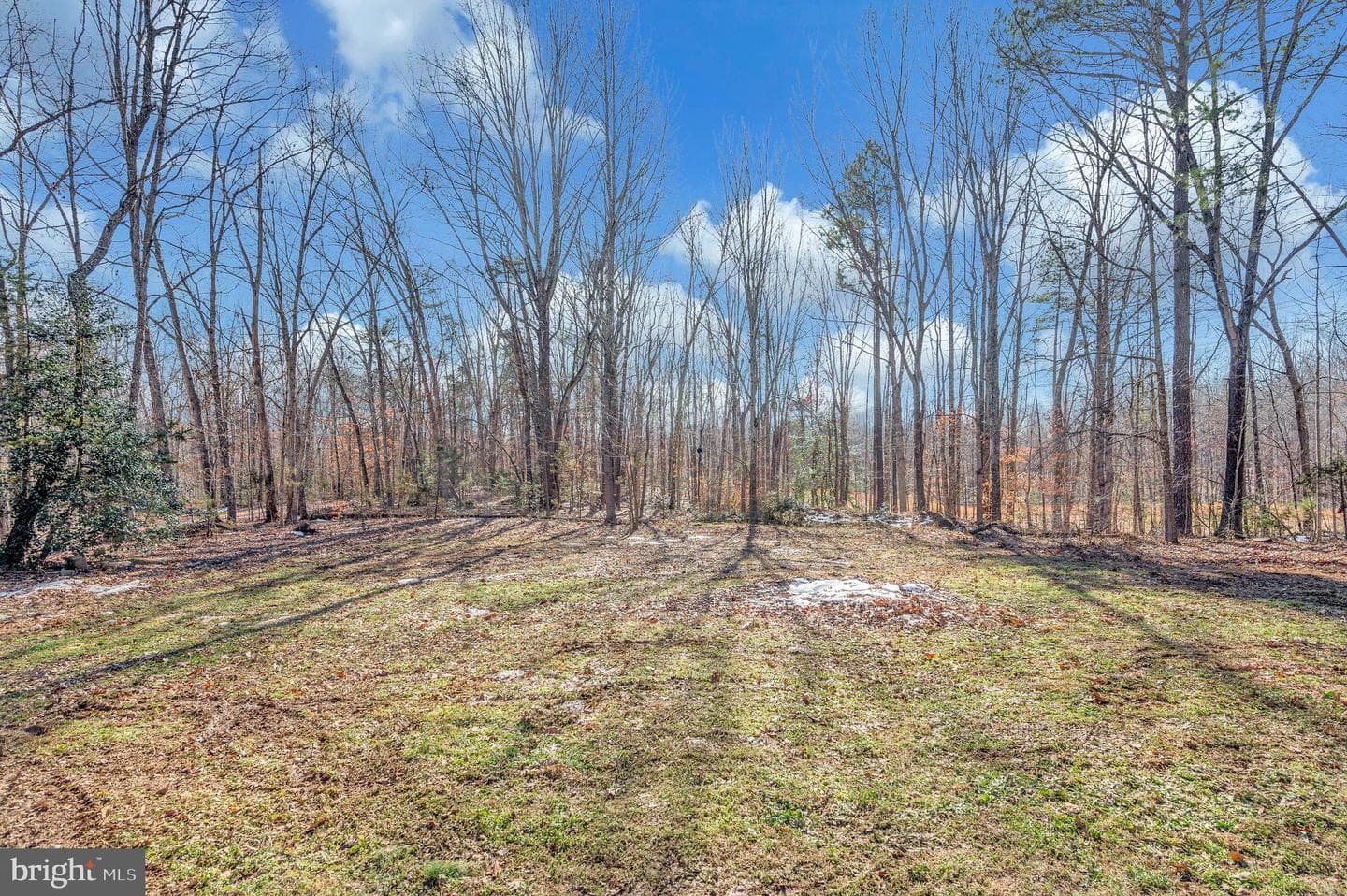 6700 Hickory Ridge Road photo 23