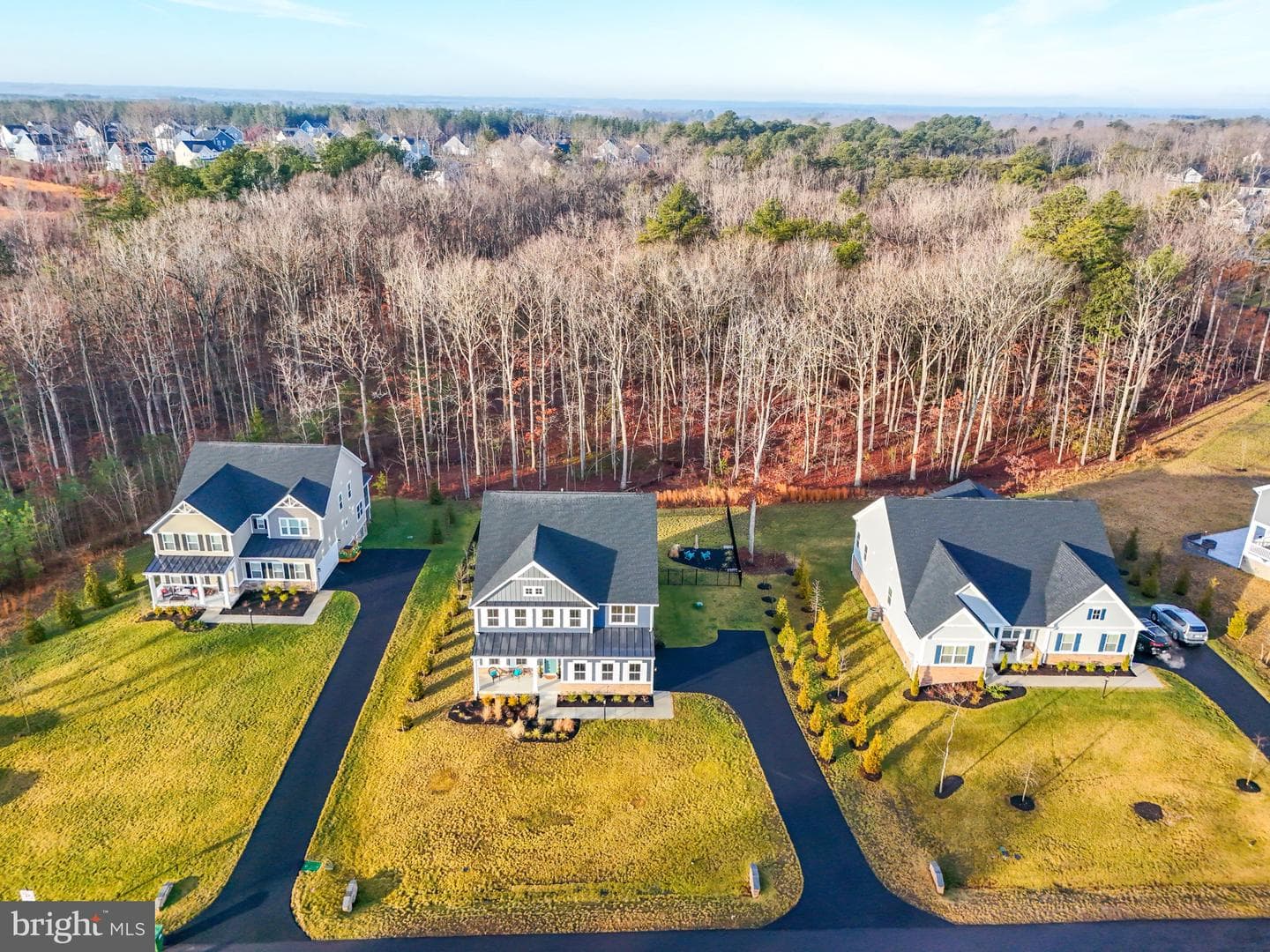 11304 Oakville Lane photo 4
