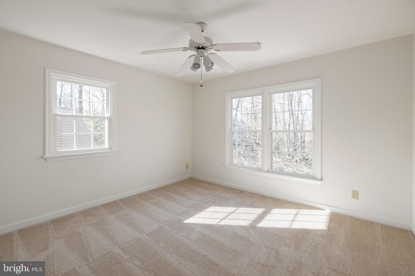 301 Woodfield Drive photo 104