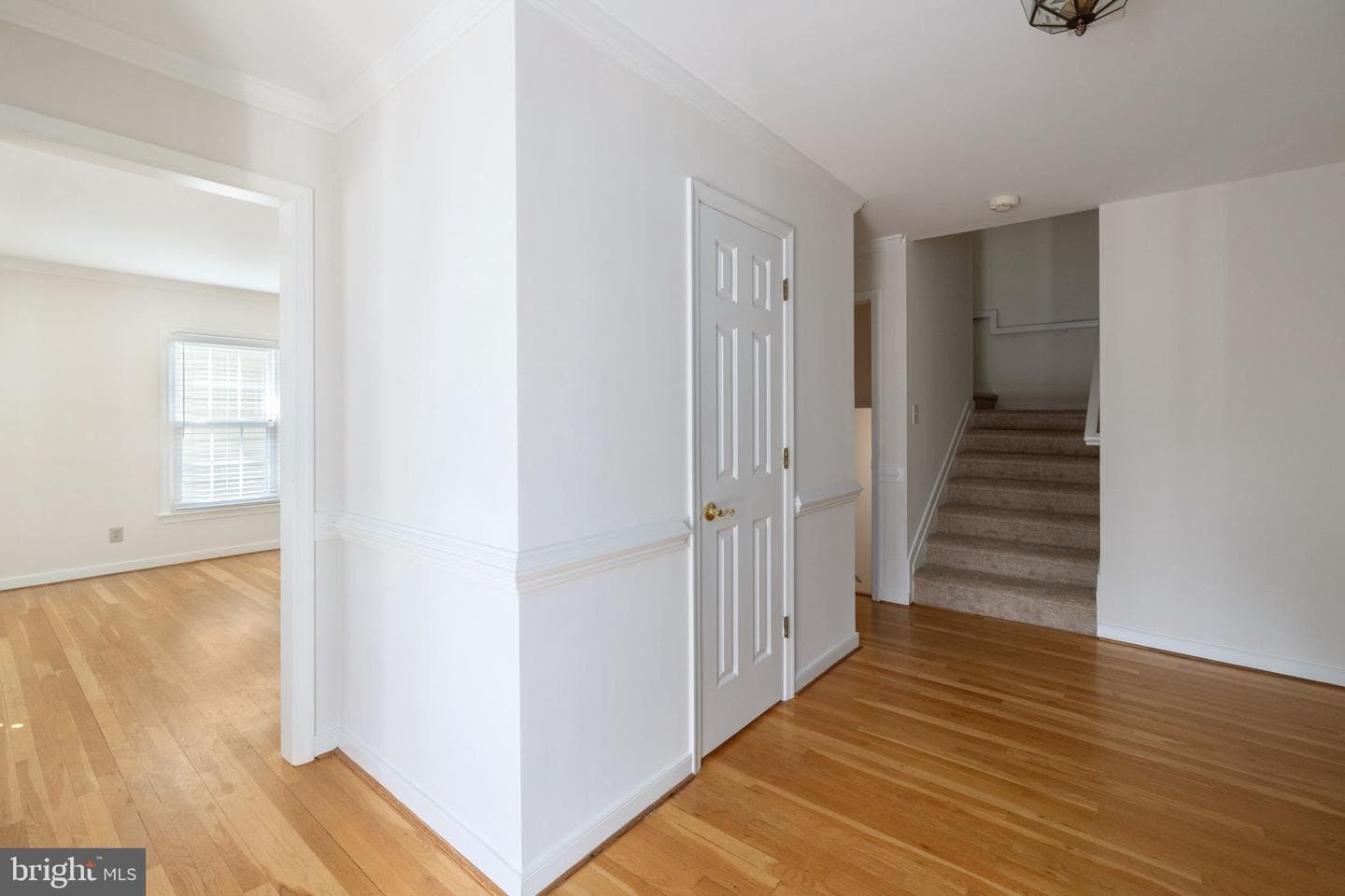 301 Woodfield Drive photo 19