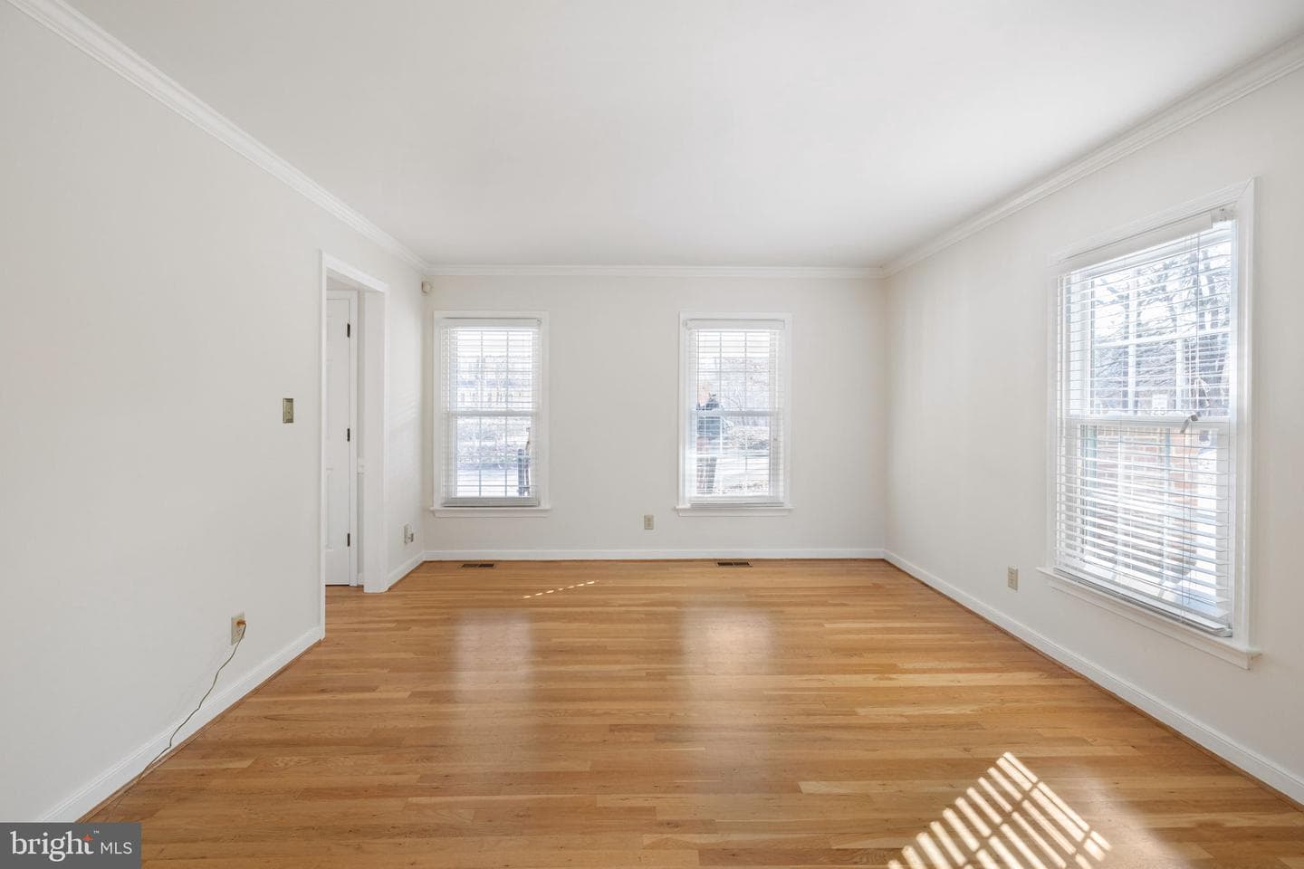 301 Woodfield Drive photo 21