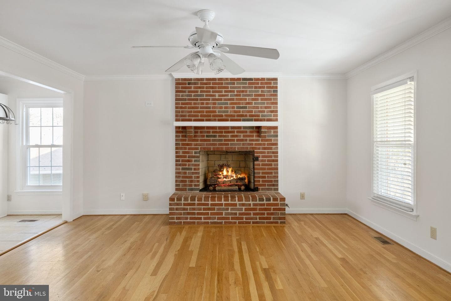 301 Woodfield Drive photo 26