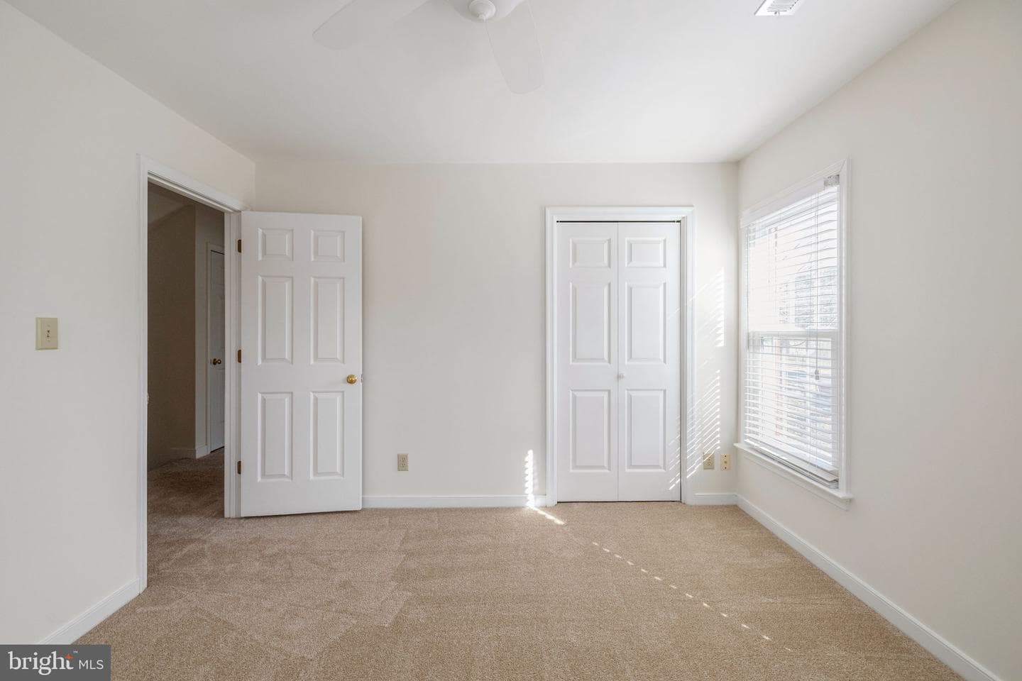 301 Woodfield Drive photo 57