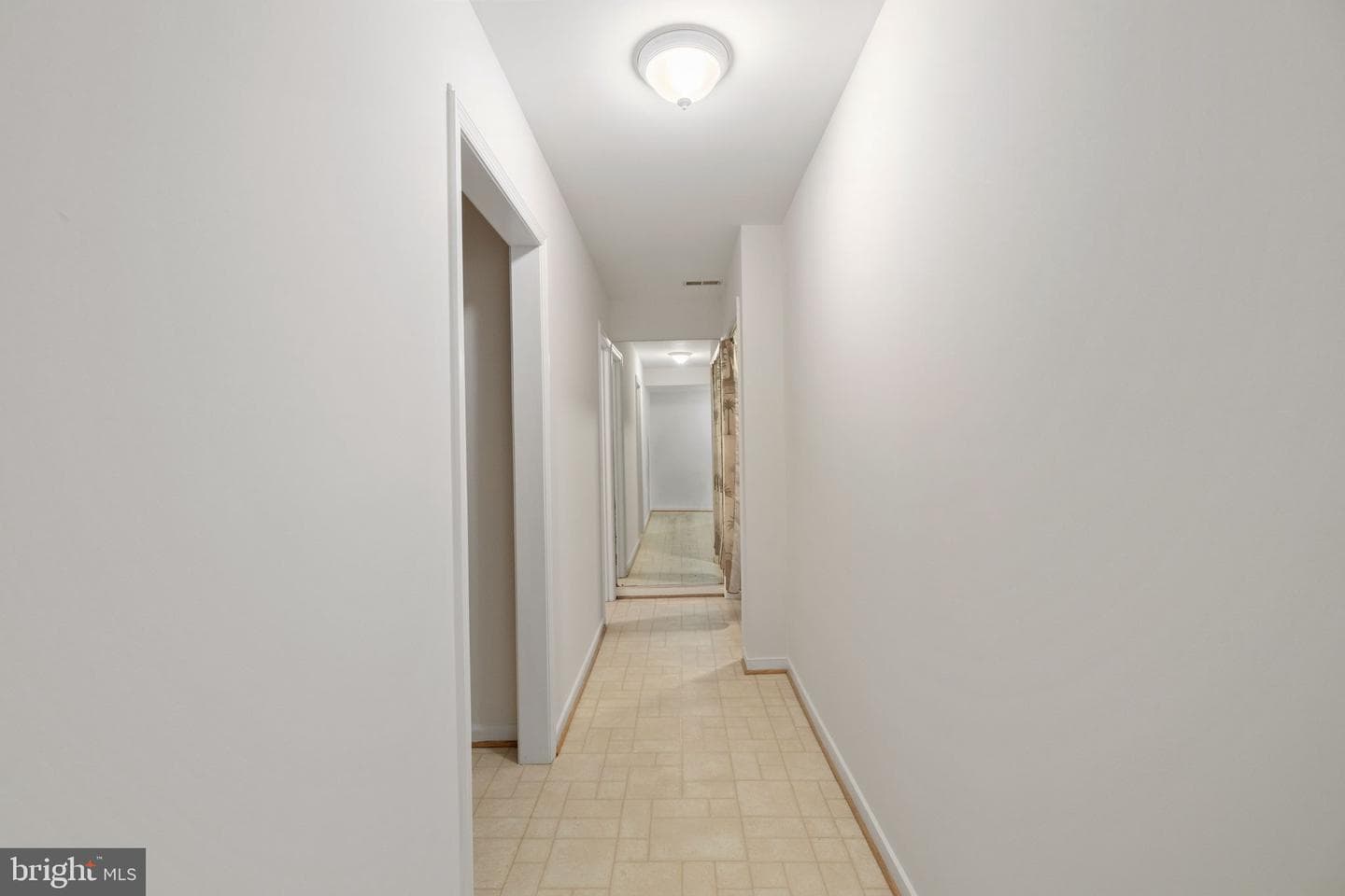 301 Woodfield Drive photo 63
