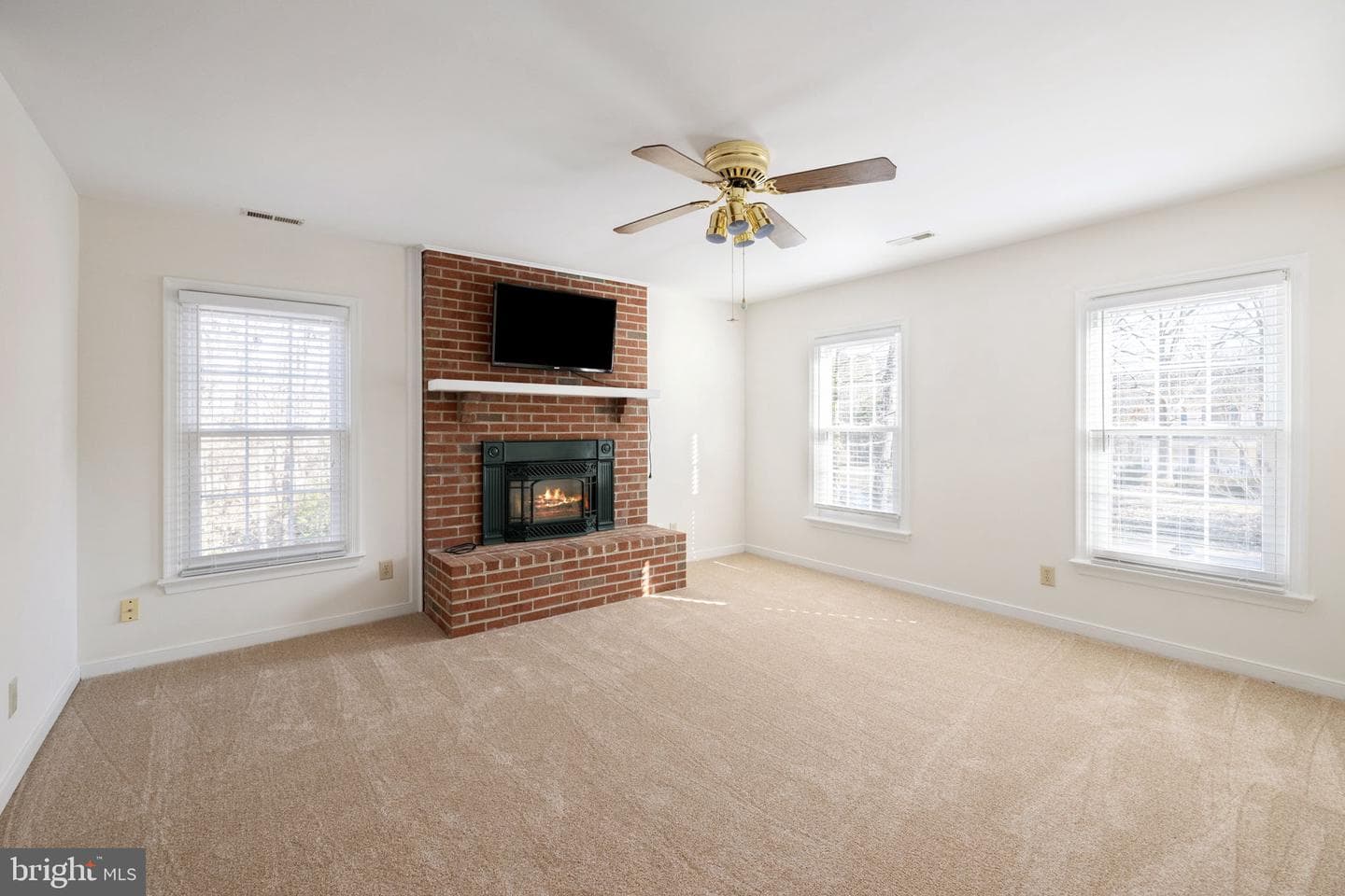 301 Woodfield Drive photo 93