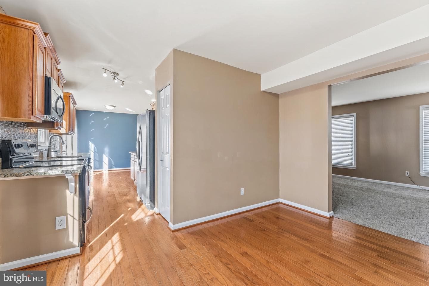 315 Albany Street photo 13