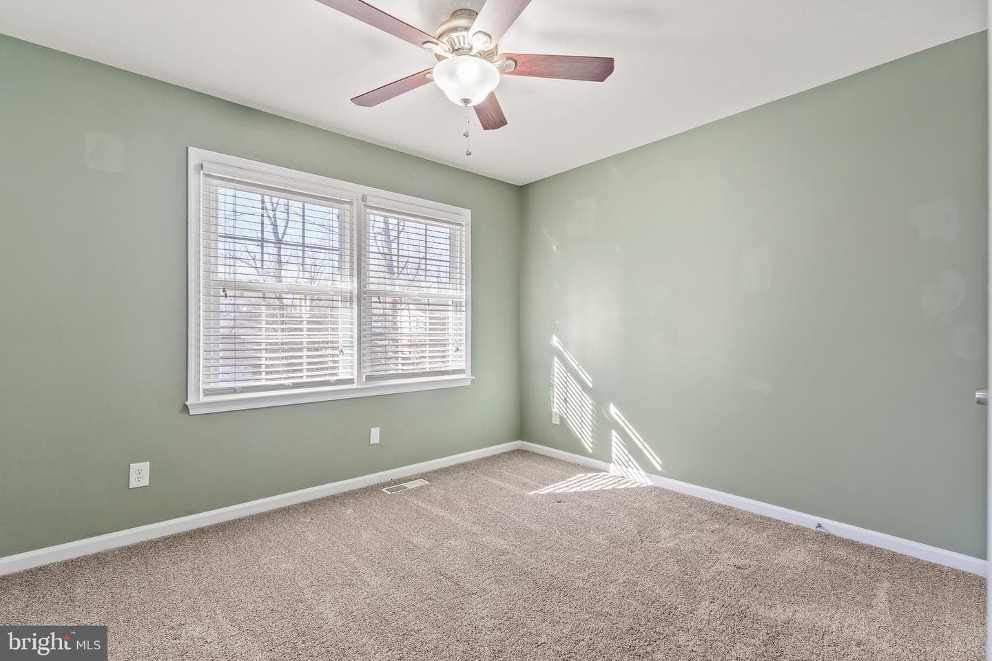 315 Albany Street photo 21