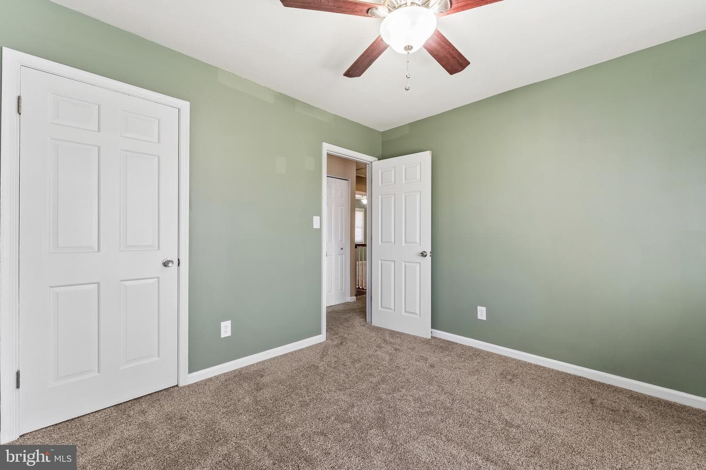 315 Albany Street photo 22