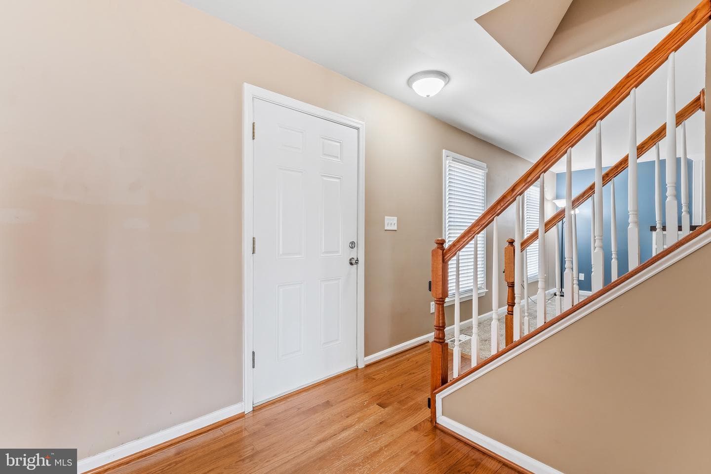 315 Albany Street photo 7
