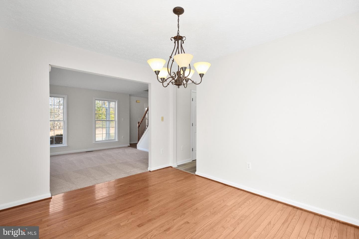 10104 Chesney Drive photo 20