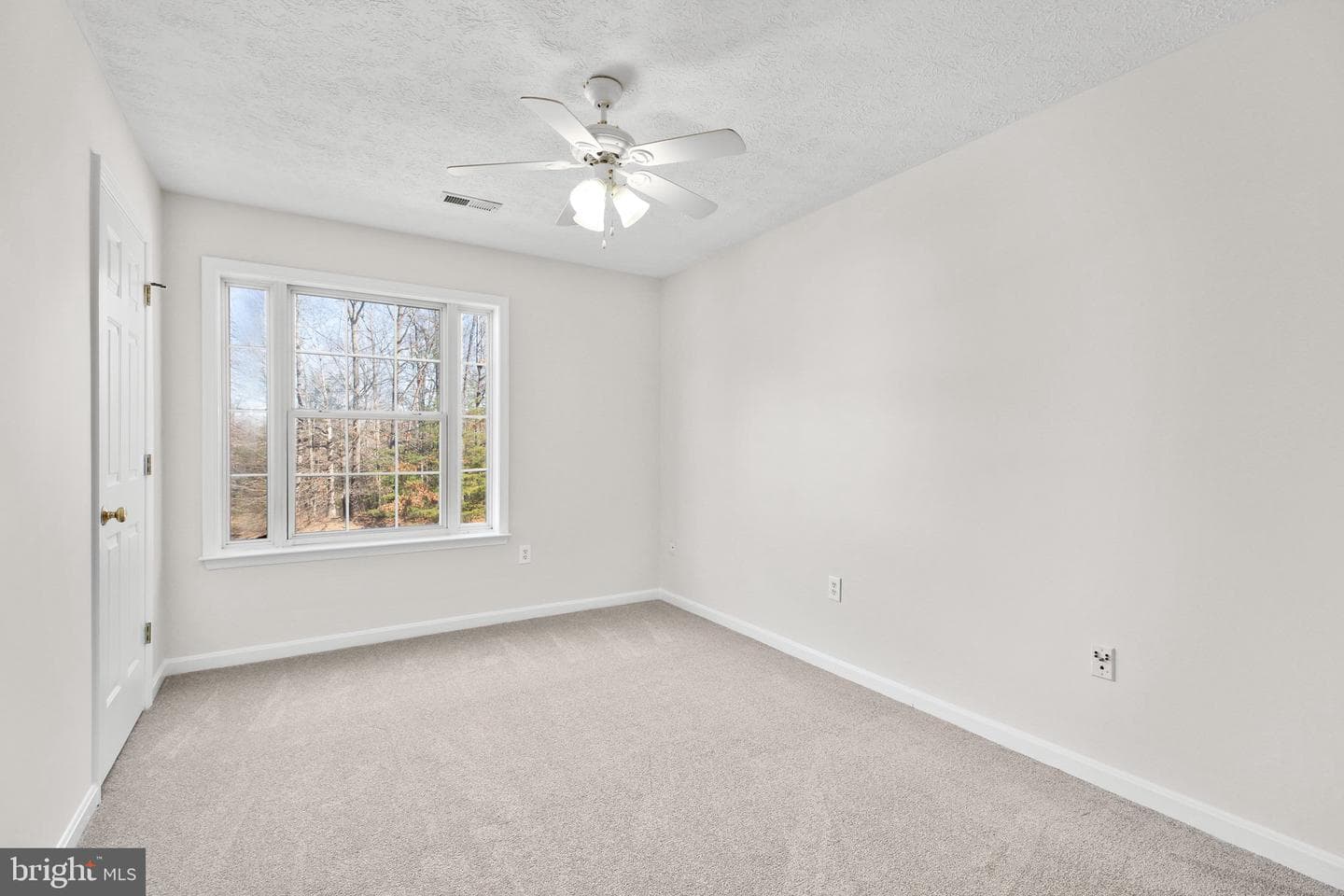10104 Chesney Drive photo 30