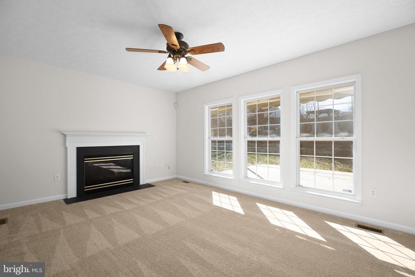 10104 Chesney Drive photo 7