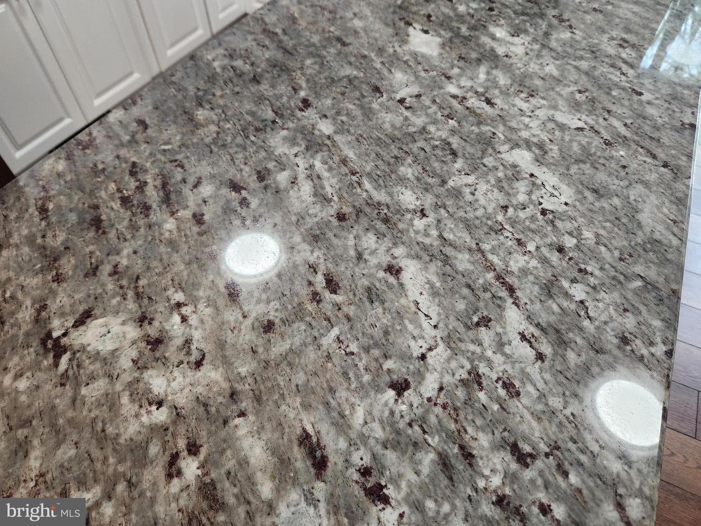10703 Redbird Lane photo 8