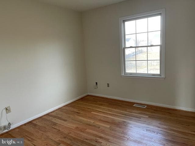10701 White Pine Lane photo 17