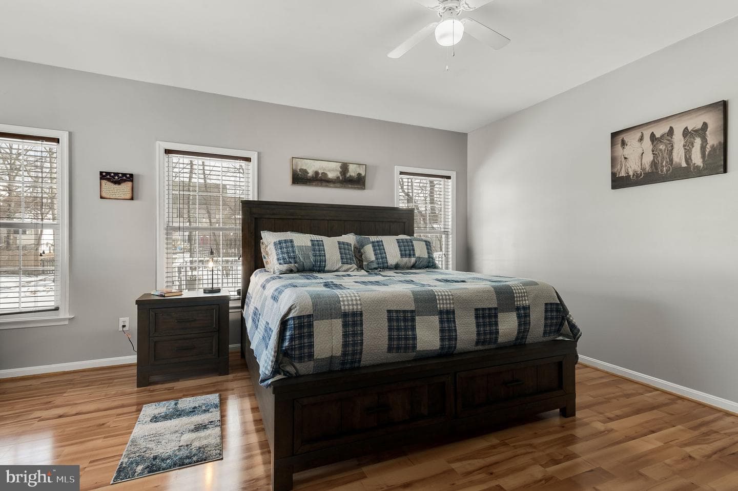 8 Noel Drive photo 20