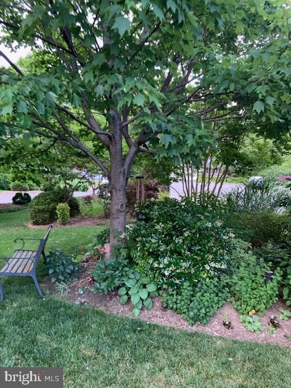 9912 Ashmeade Court photo 77