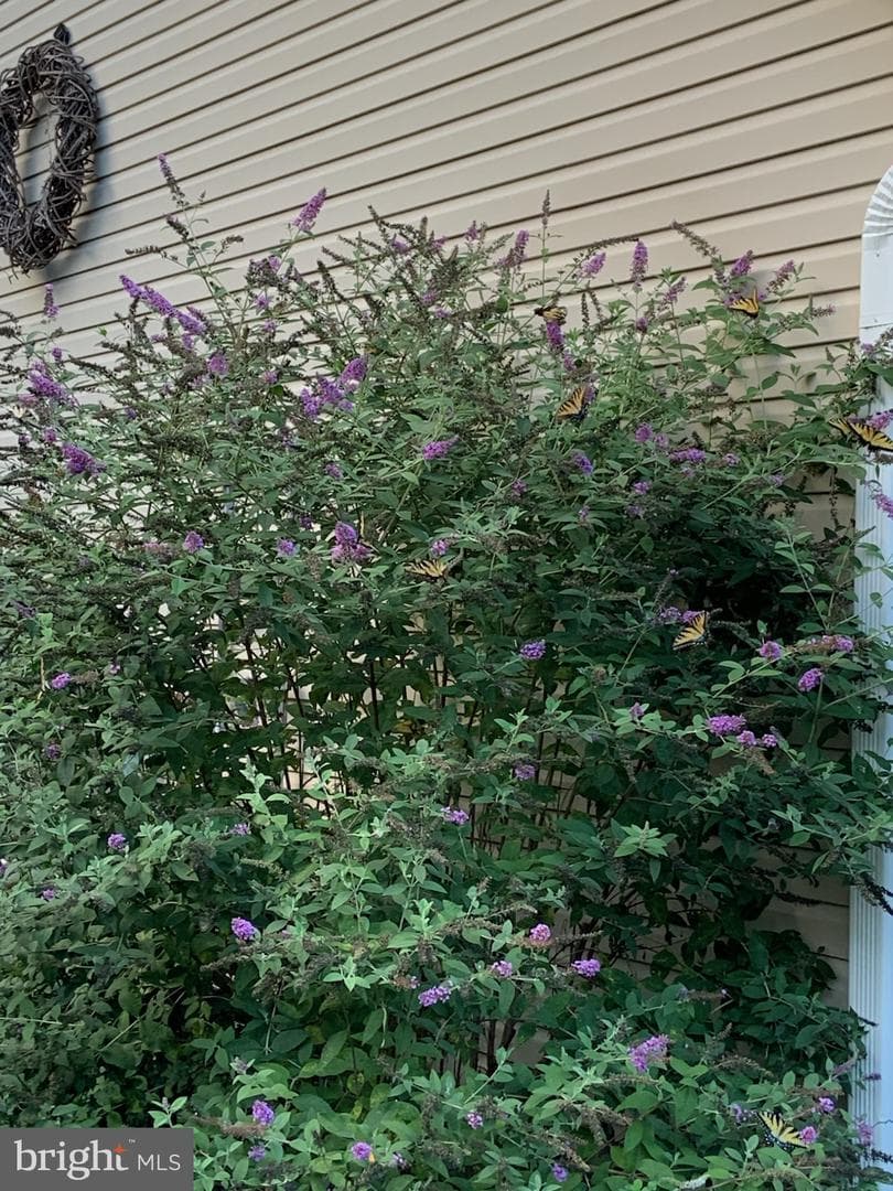 9912 Ashmeade Court photo 84