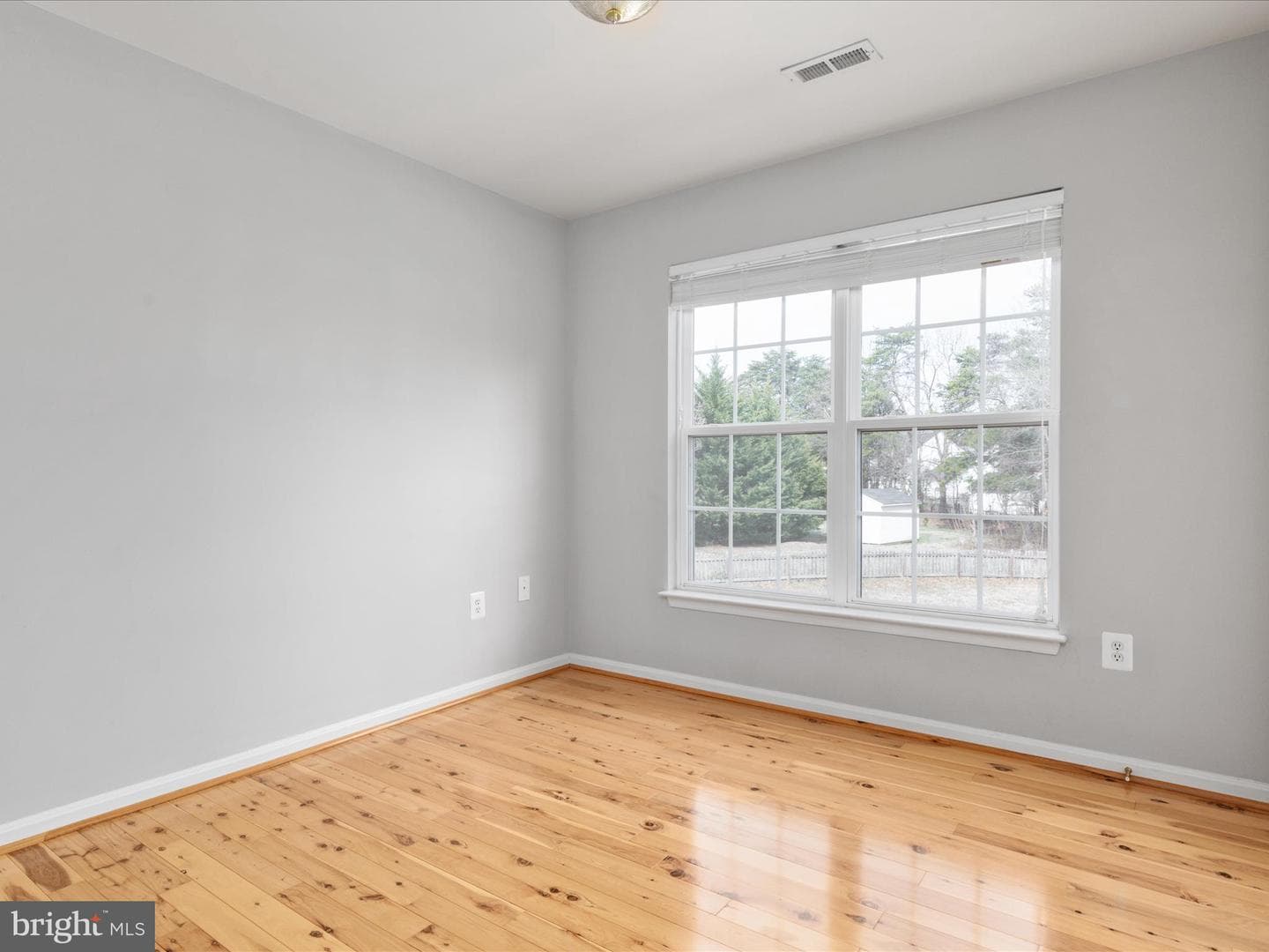 11206 Hollins Court photo 23