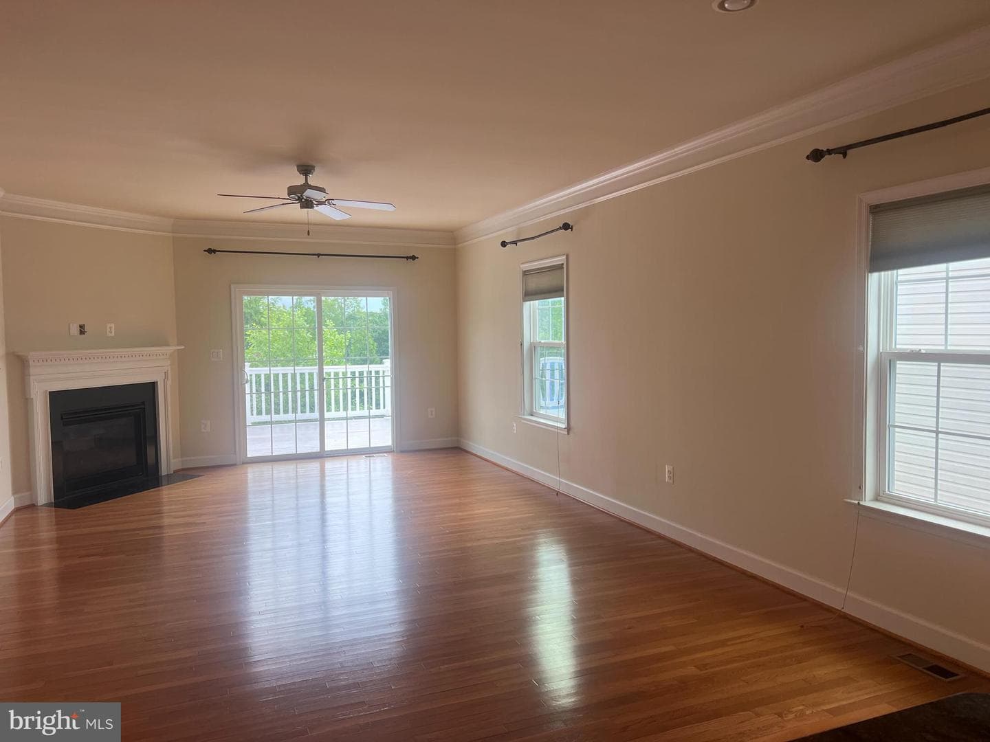 5639 Cedar Mountain Court photo 17