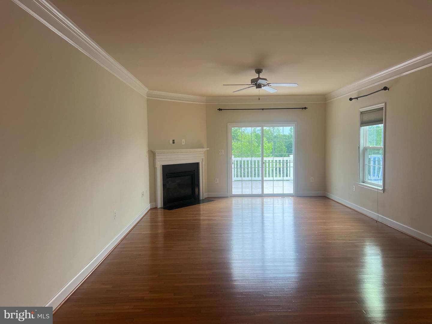 5639 Cedar Mountain Court photo 18