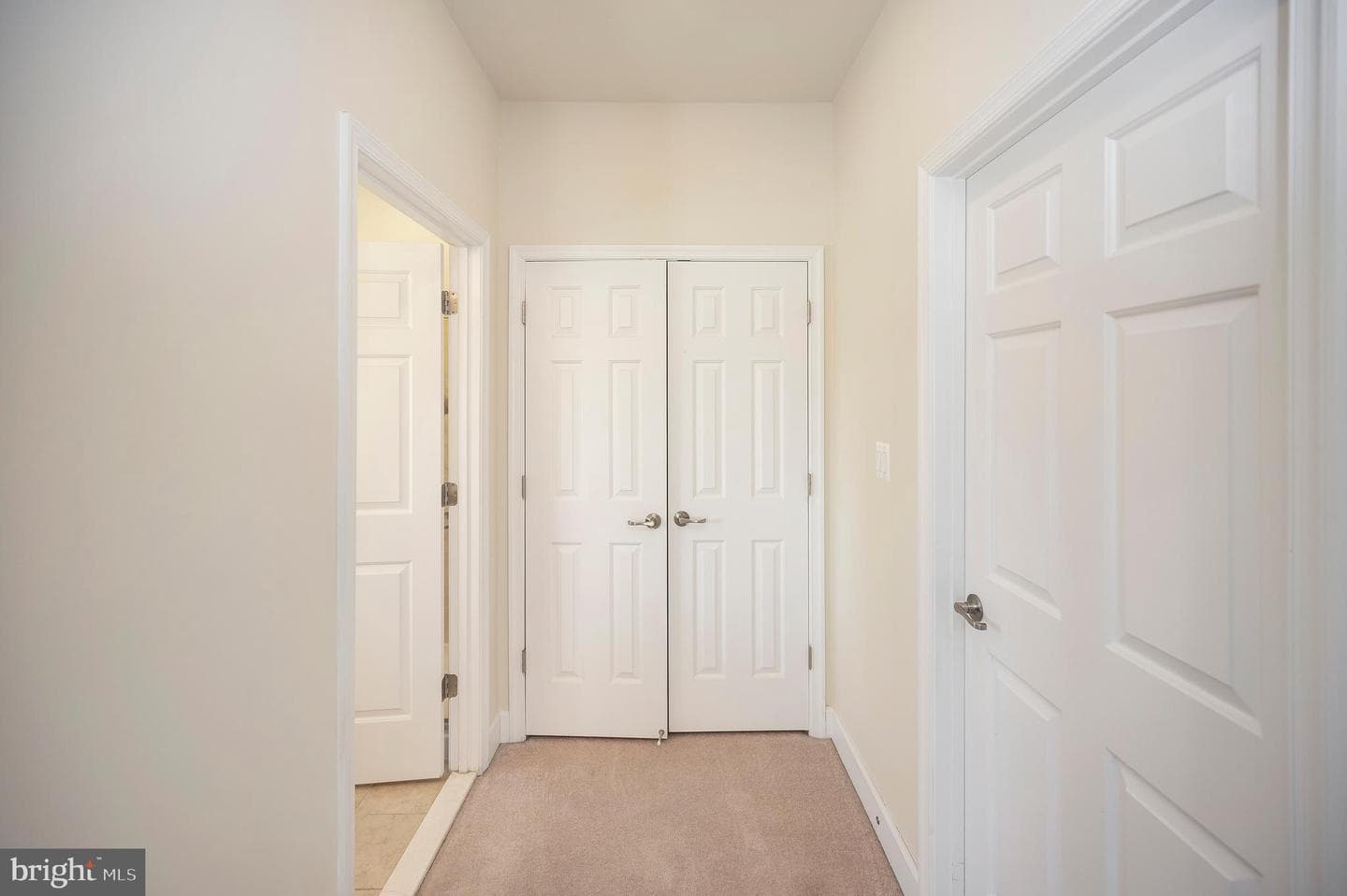 5639 Cedar Mountain Court photo 20