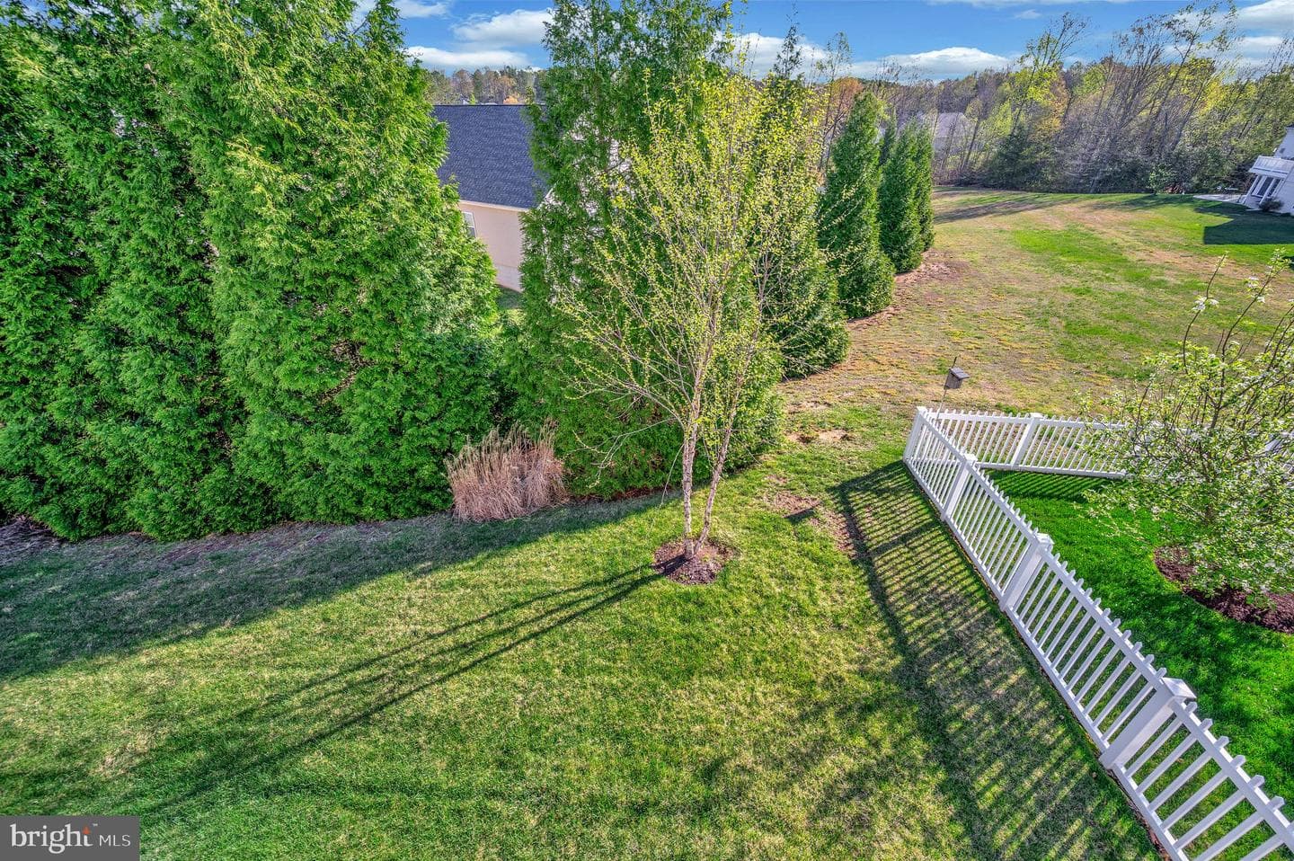 5639 Cedar Mountain Court photo 36
