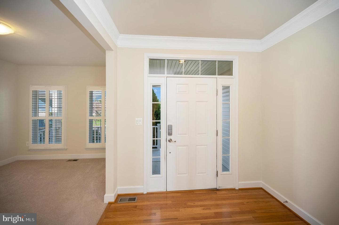 5639 Cedar Mountain Court photo 4