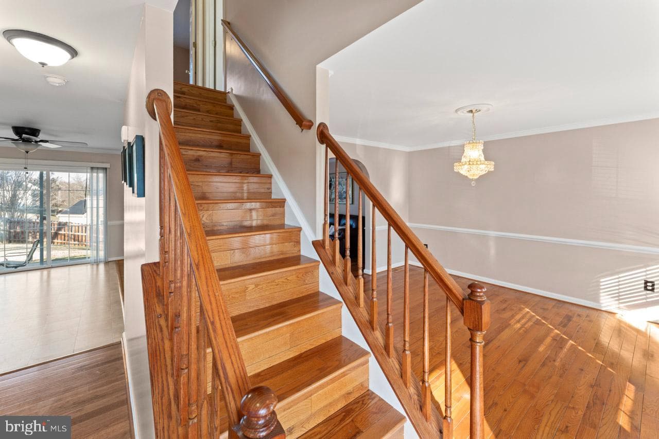 6907 Lakeland Way photo 8