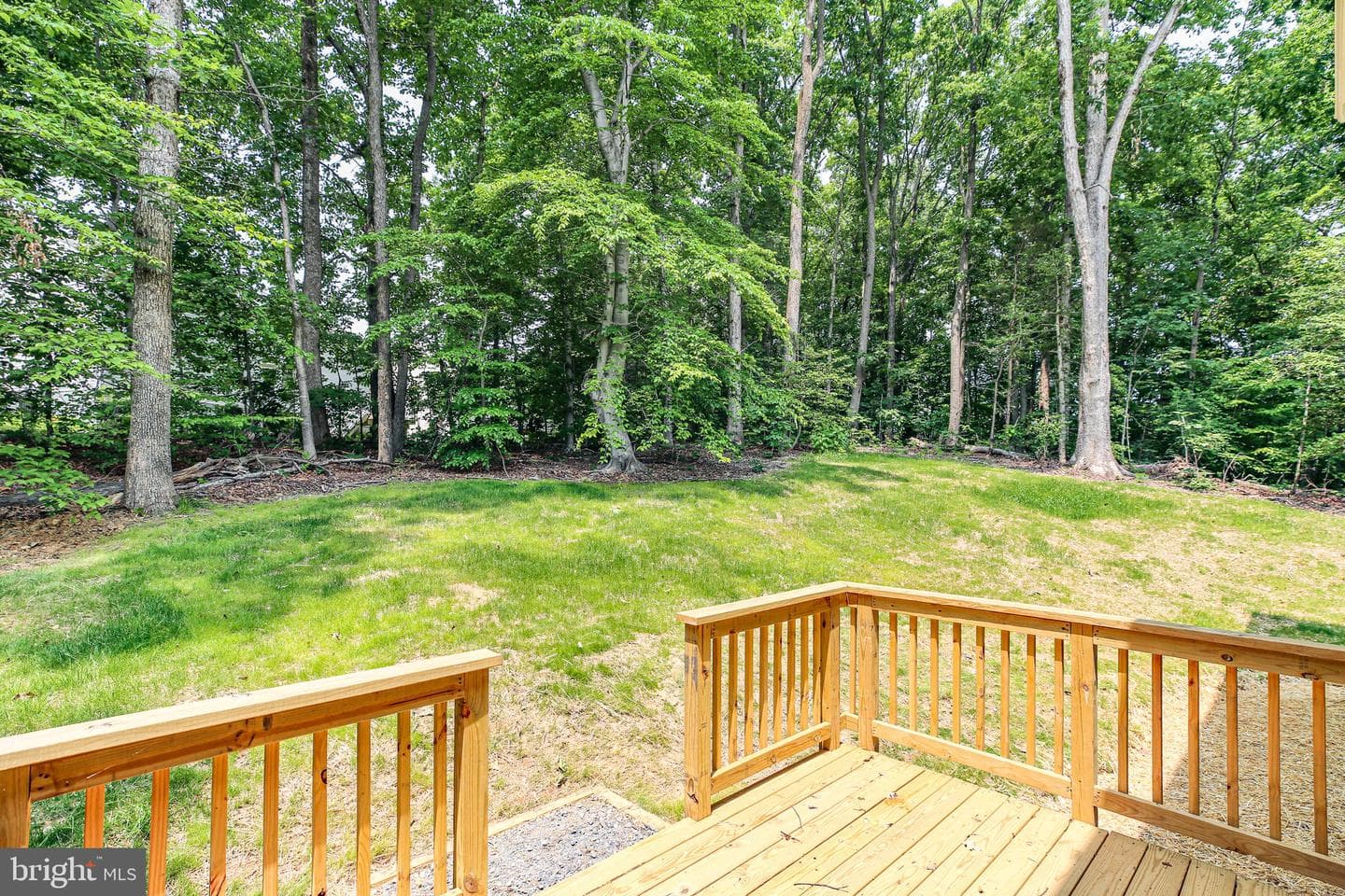 10302 Laurel Ridge Way photo 55