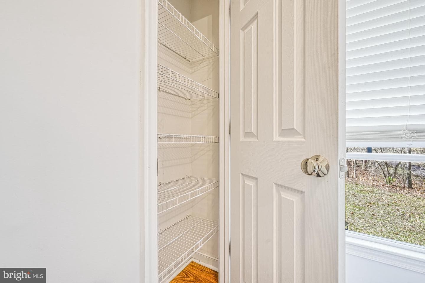 2513 Lakeside Woods Drive photo 41
