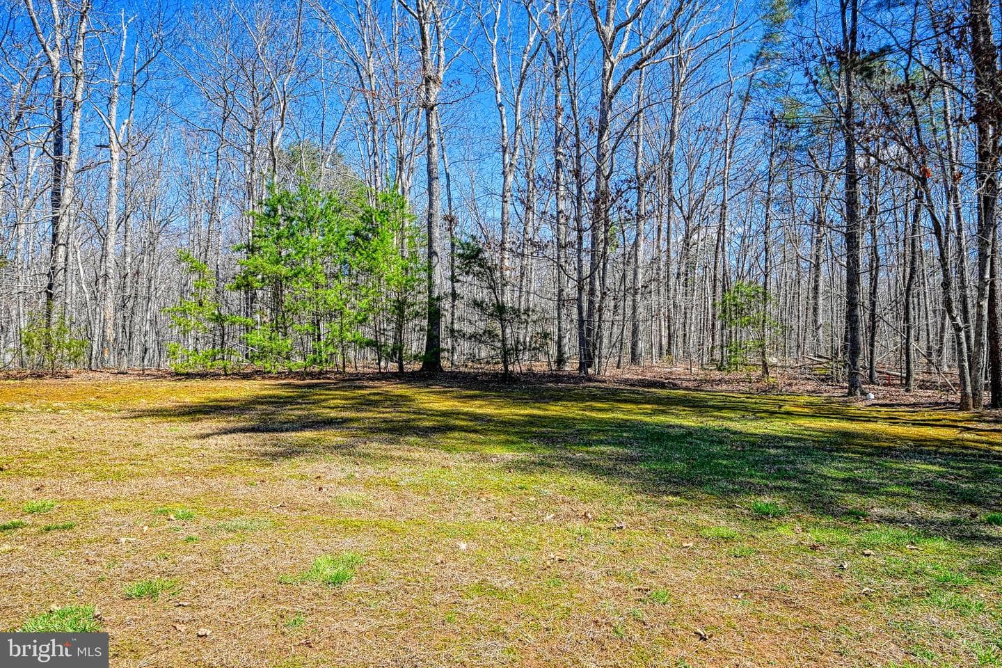 2513 Lakeside Woods Drive photo 53