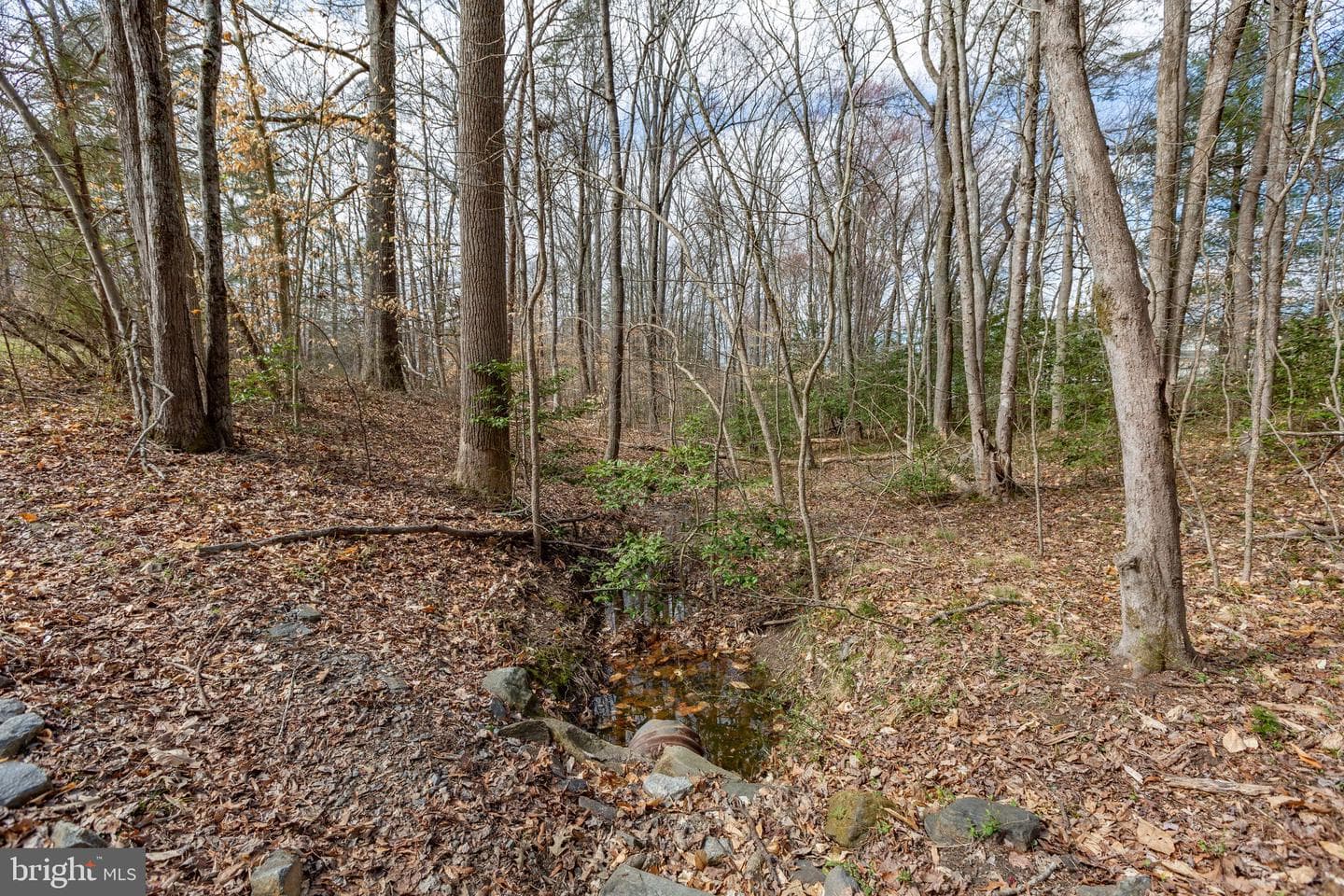 112 Longview Lane photo 32