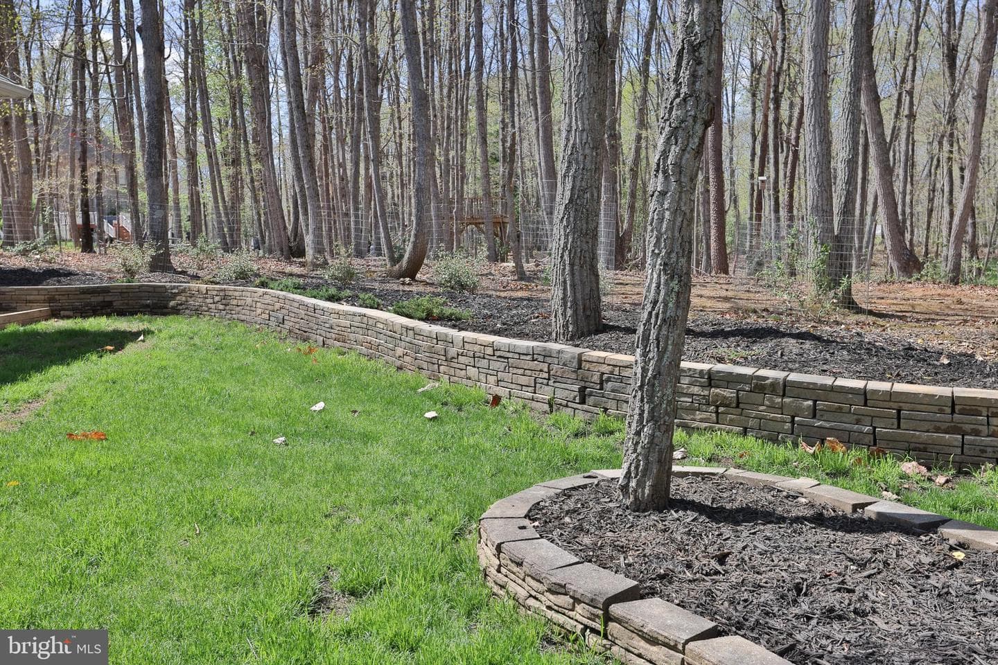 8305 Cannister Court photo 48