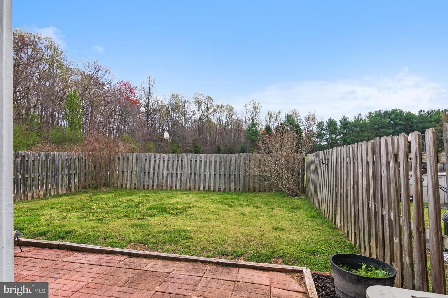 10515 Tidewater Plains Drive photo 30