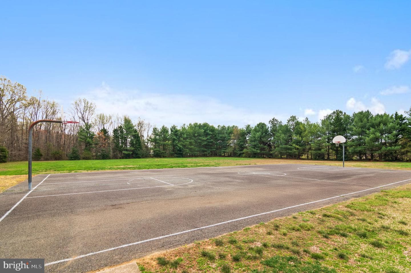 10515 Tidewater Plains Drive photo 31