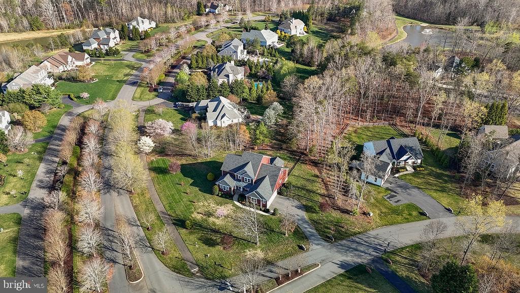 11423 Bluffs Ridge photo 5