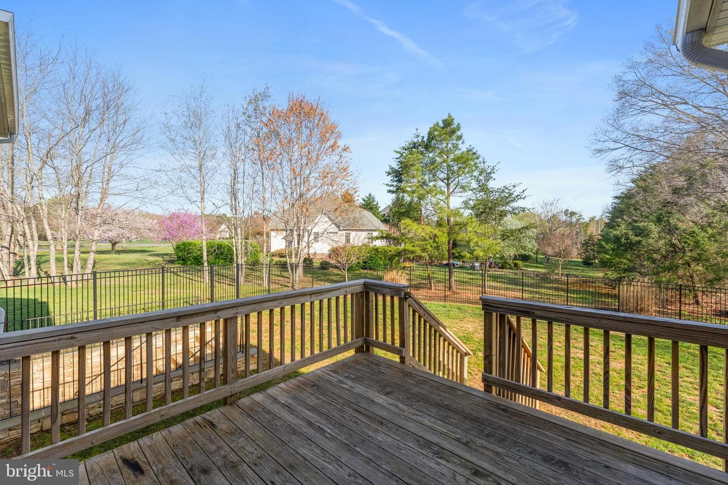 11423 Bluffs Ridge photo 89