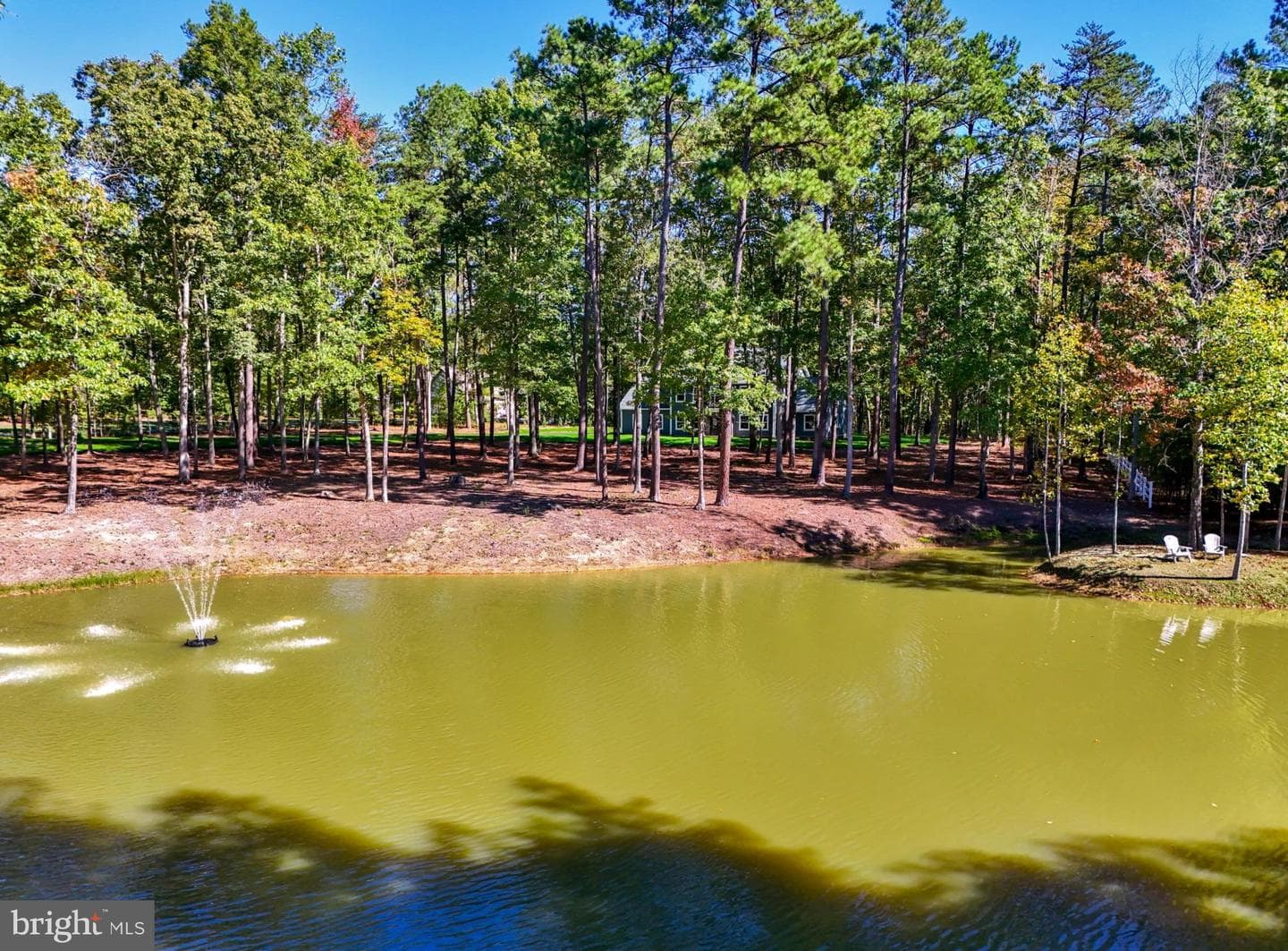 11204 Honor Bridge Farm Place photo 56