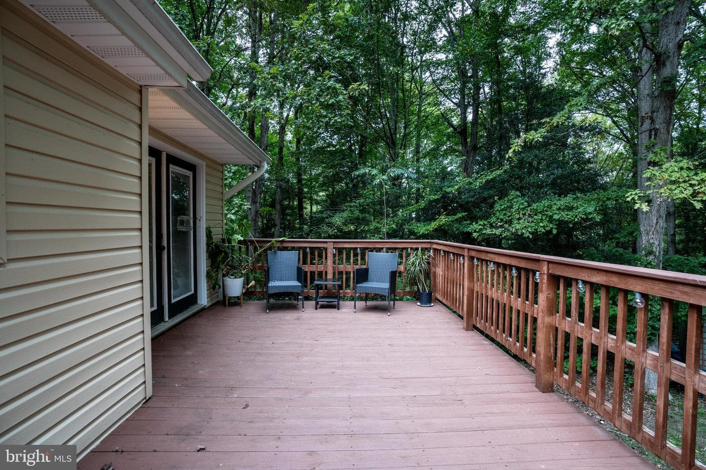 4025 Guinea Station Road photo 49