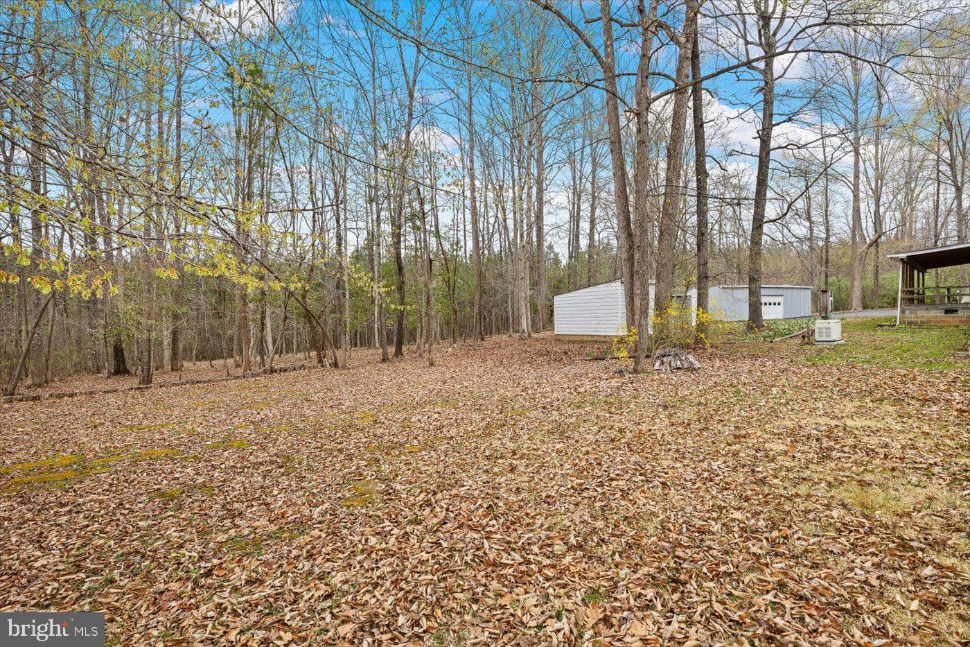 5900 Paynes Lane photo 40