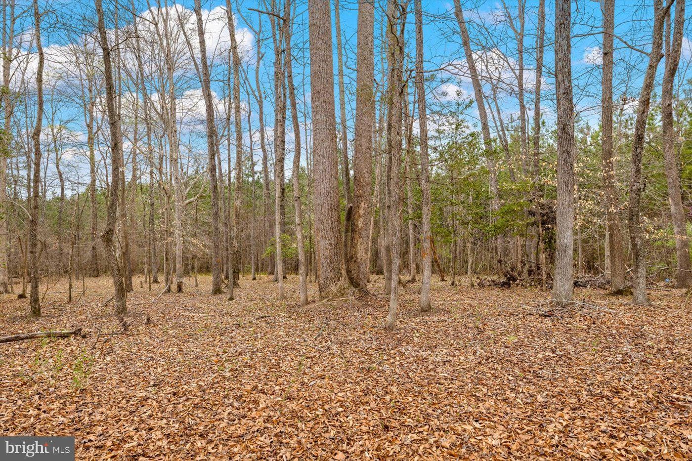 5900 Paynes Lane photo 41