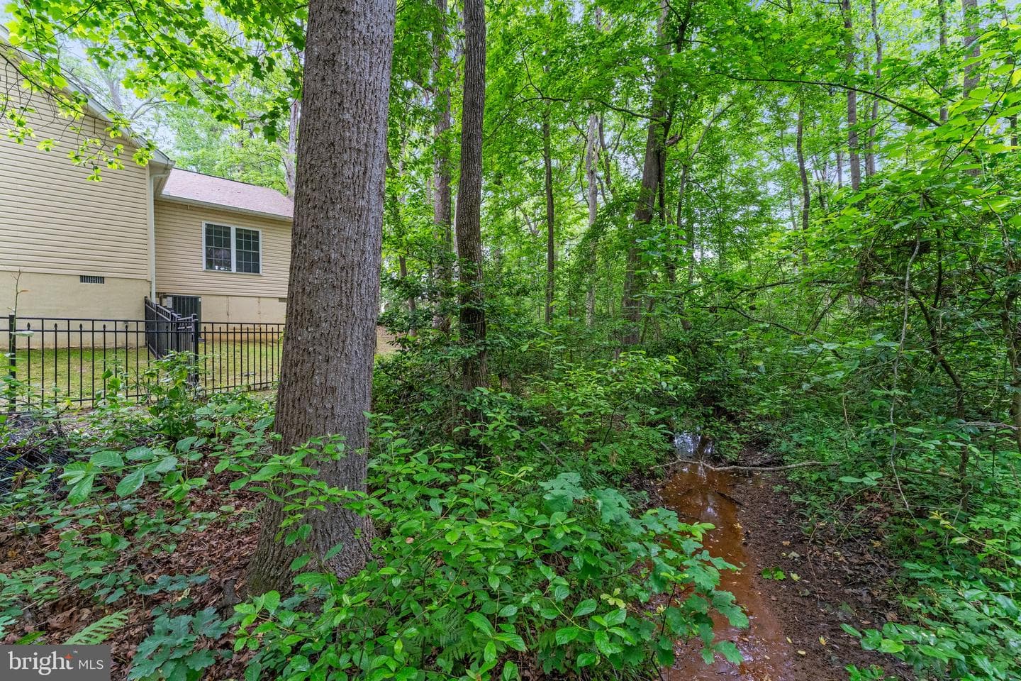 10614 Rhoads Drive photo 47