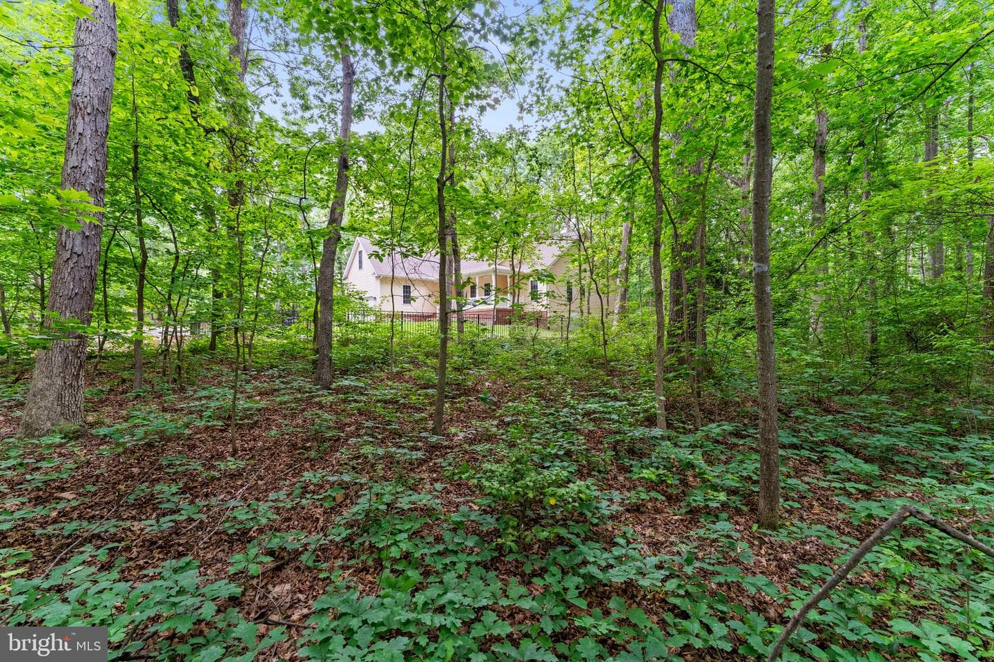 10614 Rhoads Drive photo 49